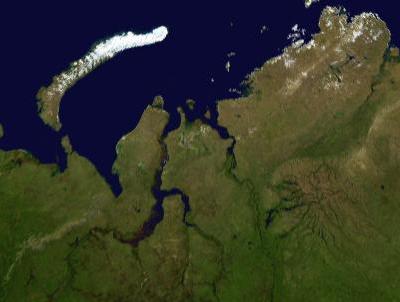 Yenisey Gulf
